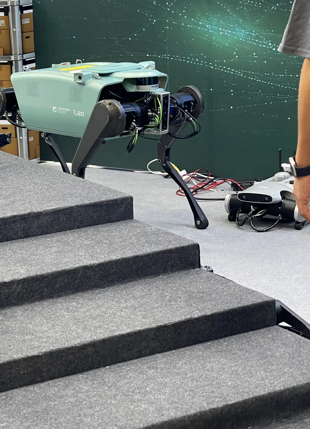 A pale green quadruped robot standing on display stairs